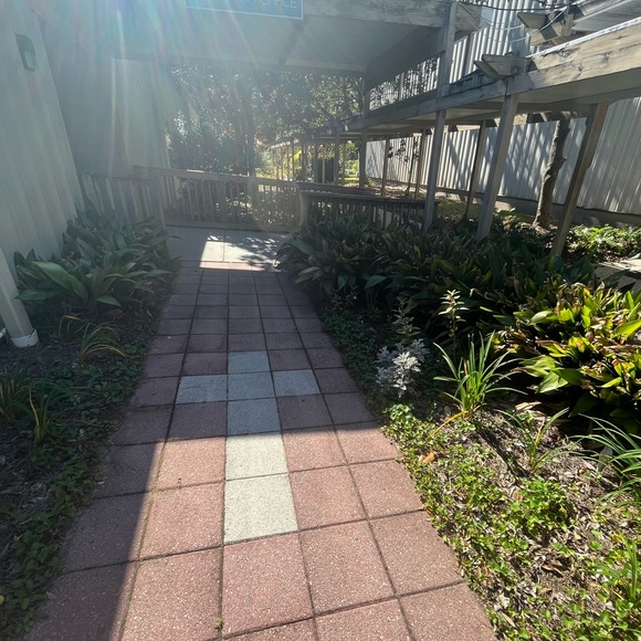 lea_mccaw